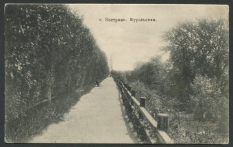 Кострома - Муравьевка