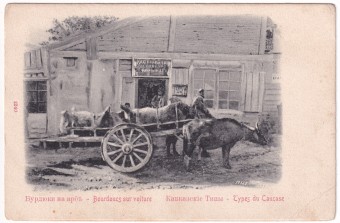 Бурдюки на арбе - Кавказские типы