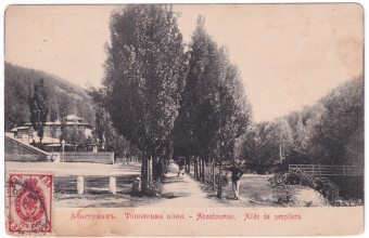 Абастумань. Тополевая аллея.