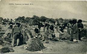 (TeepsRus_008(3)