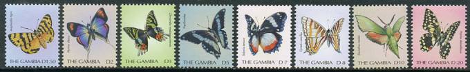 (Gambia_Buterfl_002) Бабочки