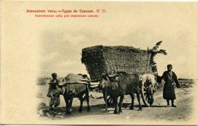 (TeepsRus_021(1)