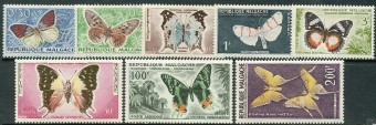 (Malgache_Buterfly_001) Бабочки