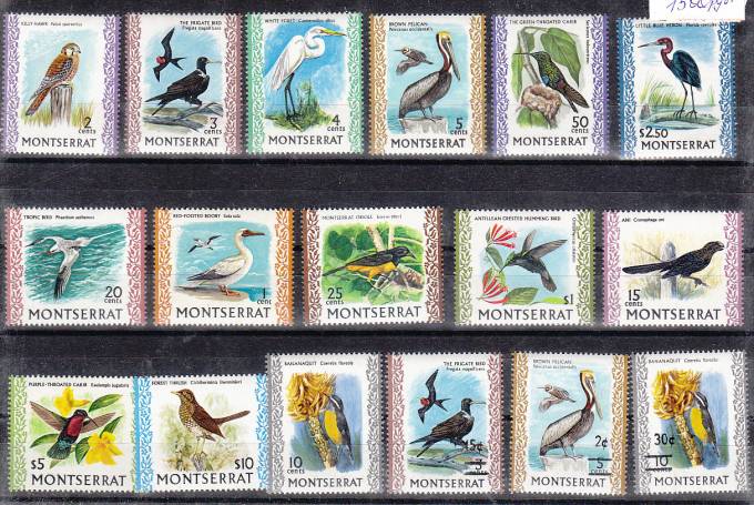 (Birds_Monts_010(1)  Марки птицы Montserrat №13