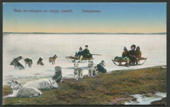 Хабаровск - Езда на собаках по Амуру (зимой)
