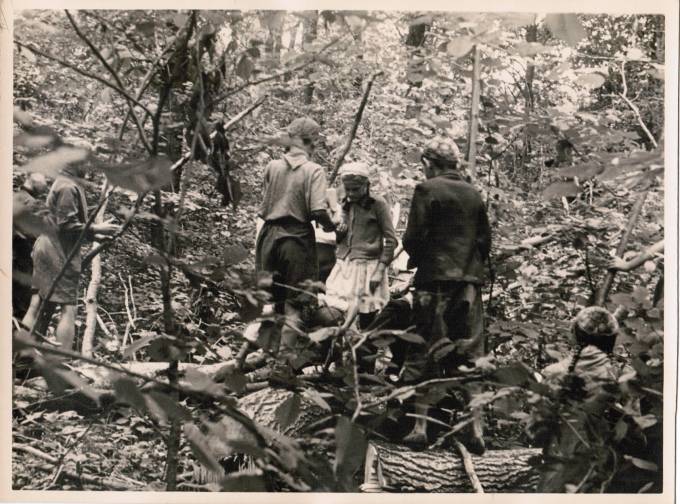 Лот 039  Фотография СССР 50-е гг.  Пионерский лагерь. Лесная прогулка.  Формат 23 х 17 см.     1
