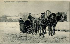 (TeepsRus_359(1)