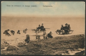 Хабаровск - Езда на собаках по Амуру (зимой)
