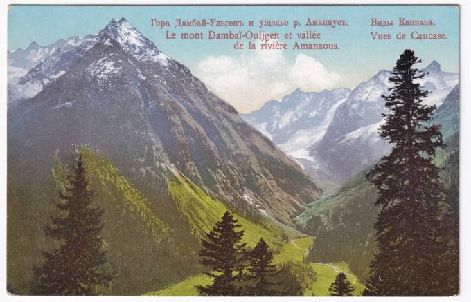 Россия - Открытка - Виды Кавказа. Гора Дамбай-Ульген и ущелье р. Аманаус.