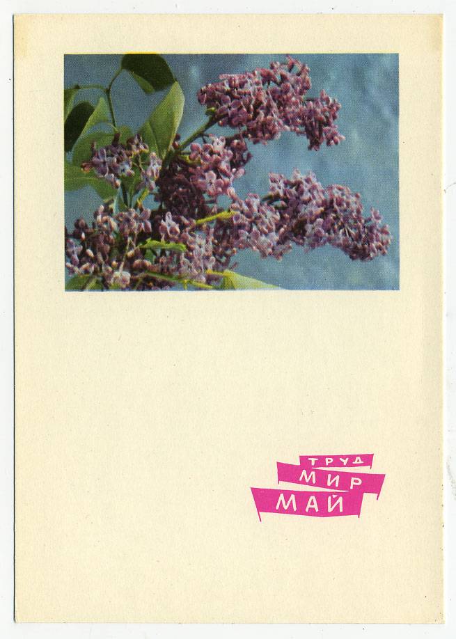 (1May_65-A03129) 1965г. изд. Гознак 3 коп. Чистая карточка.