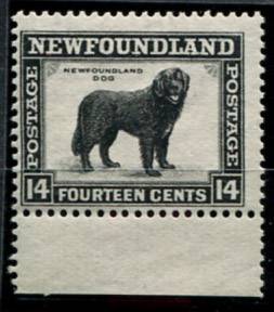(Dogs stamp_008(1) Марки собаки. Каталог №180А**