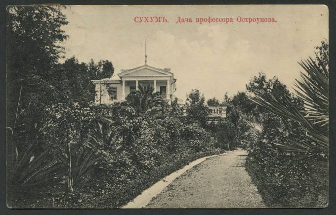 Сухум - Дача профессора Остроумова