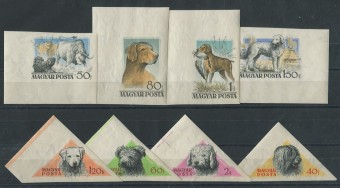 (Dogs stamp_003(1) Марки собаки 