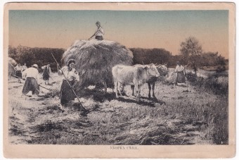 Уборка сена