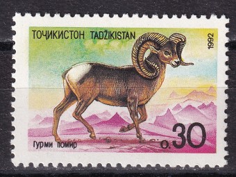 Таджикистан - кат. №4