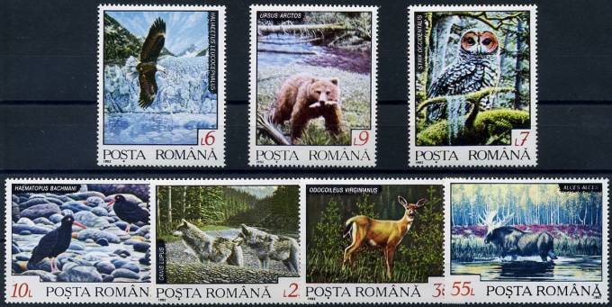 (Bear_049) Медведи. Румыния №4866-72