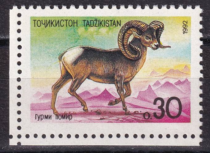 Таджикистан - кат. №4