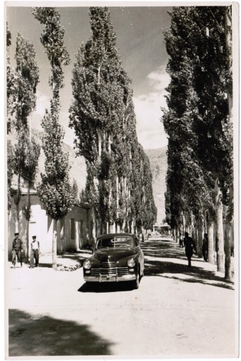 Лот 045 Фотохроника ТАСС 1950 г.  Формат 11 х 17 см.  3 1
