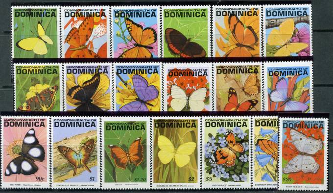 (Dominica_Buterfl_002) Бабочки.