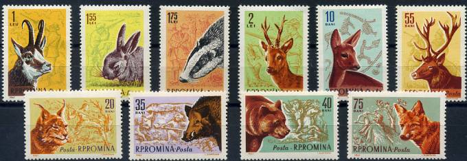 (Bear_046) Медведи. Румыния №1981-90