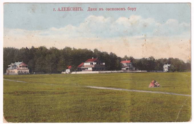 Алексин - Дачи в сосновом бору