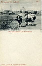 (TeepsRus_320)