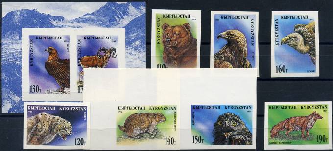 (Bear_044) Медведи. Кыргызстан