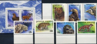 (Bear_042) Медведи. Кыргызстан