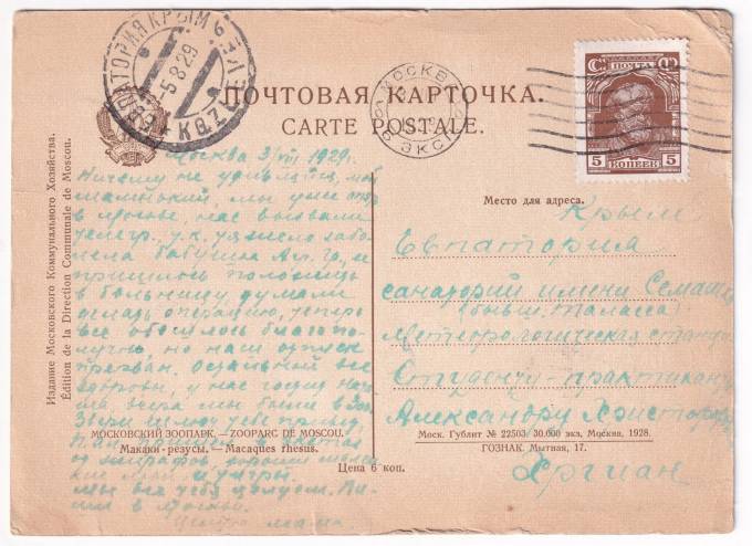 СССР - Открытка - Московский зоопарк - Макаки-резусы