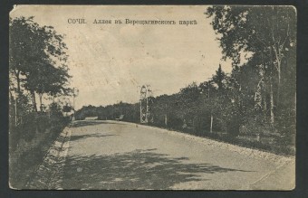 Сочи - Аллея в Верещагинском парке