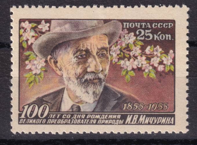 СССР - кат. Заг. №1805