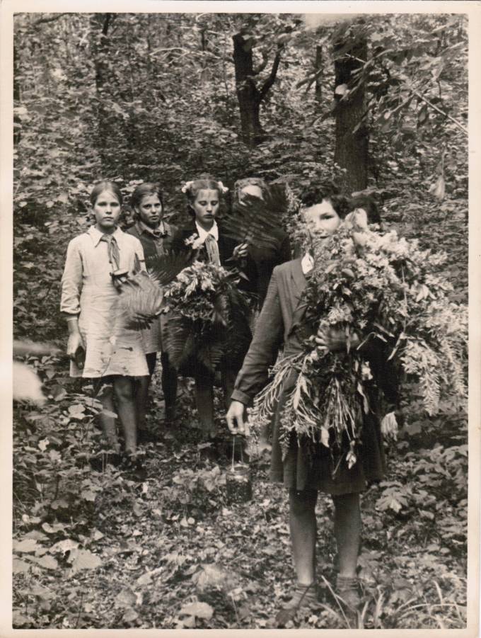 Лот 038 Фотография СССР 50-е гг.  Пионерский лагерь. Занятия по ботанике.  Формат 23 х 17 см.  2