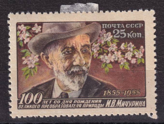 СССР - кат. Заг. №1805