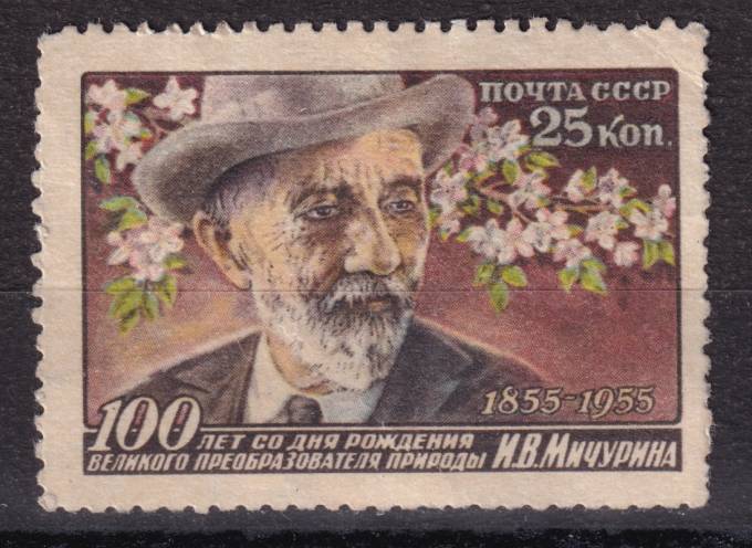 СССР - кат. Заг. №1805