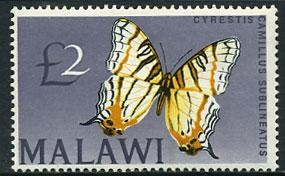 (Malawi_Buterfly_001)Малави№51.(50 евро) одна марка из серии(концовка) 