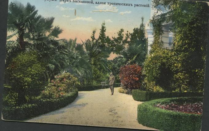 Сухум - Парк Баскаковой, аллея тропических растений