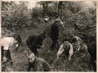 Лот 040  Фотография СССР 50-е гг.  Пионерский лагерь.  Сбор ягод в лесу.  Формат 23 х 17 см.  2