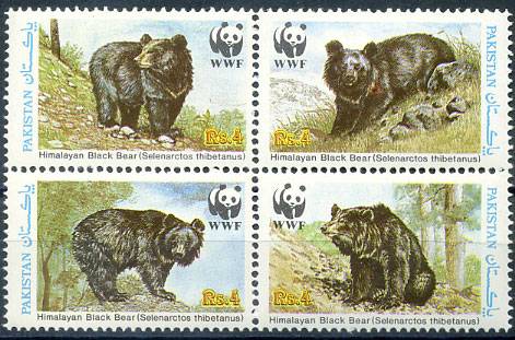 (Bear_069) Медведи. WWF
