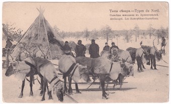 Типы севера - Самоеды извозщики в Архангельске