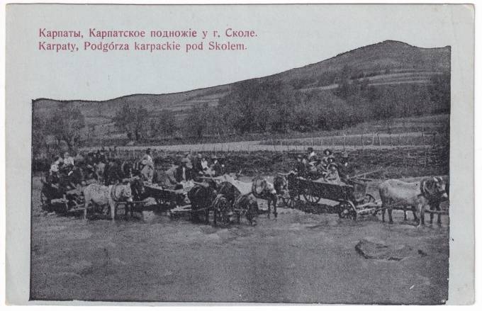 Россия - Открытка - Карпаты. Карпатское подножье у г. Сколе
