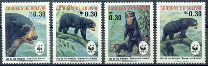 (Bear_063) Медведи. Боливия