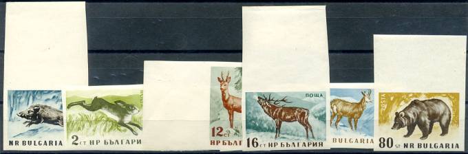 (Bear_075) Медведи. Болгария**