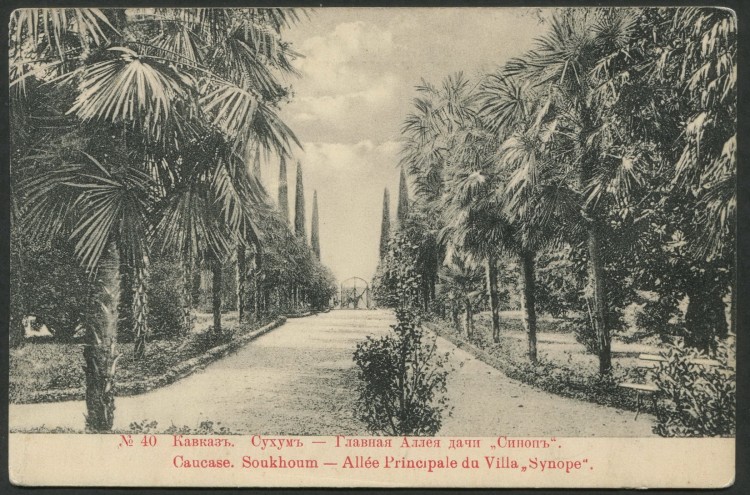 Парк синоп сухум