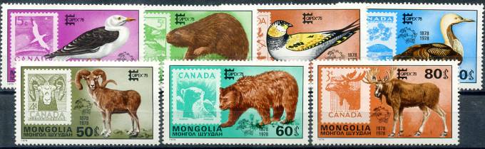 (Bear_076) Медведи. Монголия