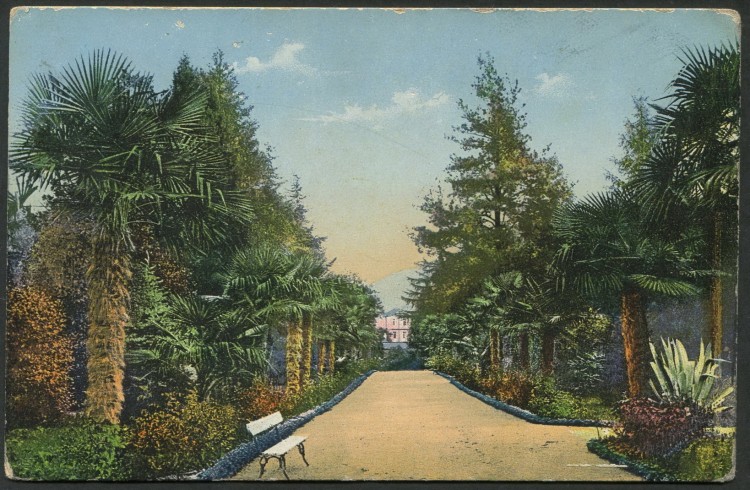 Парк синоп сухум