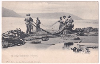 В жигулевских горах