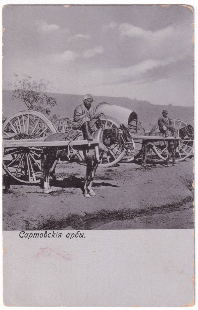 Сартовские арабы