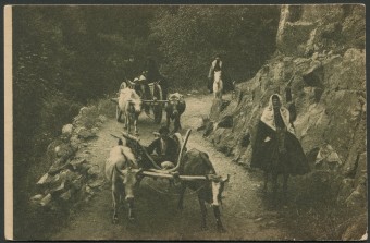 Карачай. Ущелье р. Теберды в районе аула Н. Тебердинского.