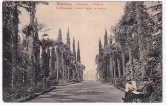 Россия - Открытка - Кавказ. Сухум. Синоп. Пальмовая аллея, вид на море