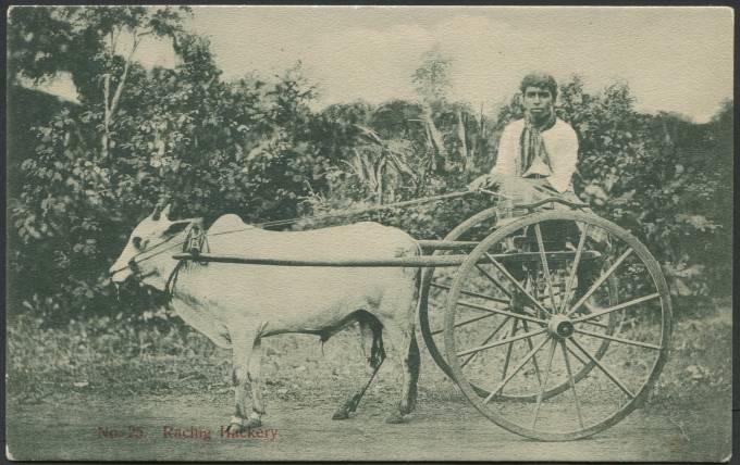 Погонщик Цейлонских быков